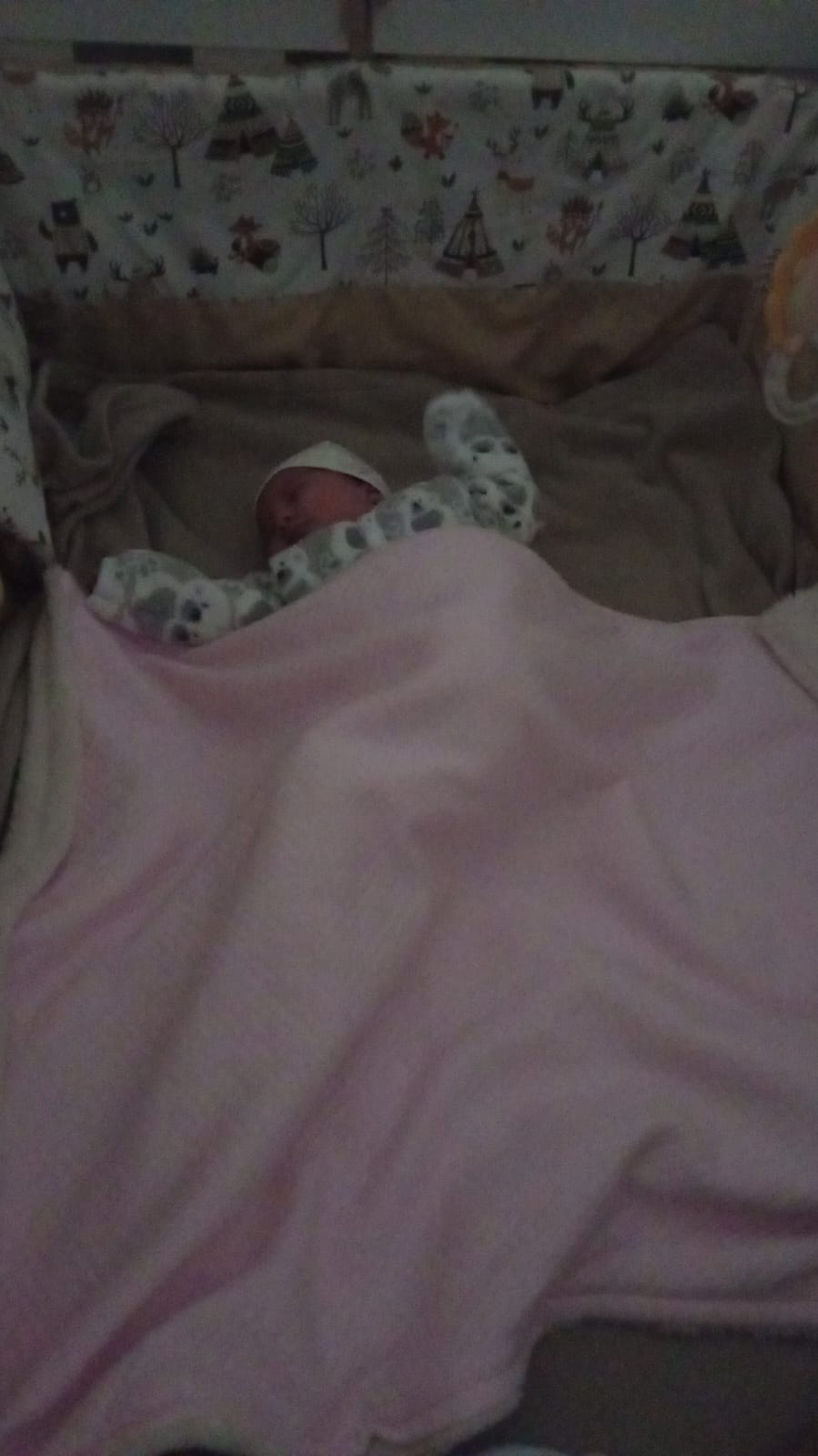 WhatsApp Image 2024-08-05 at 15.43.35.jpeg